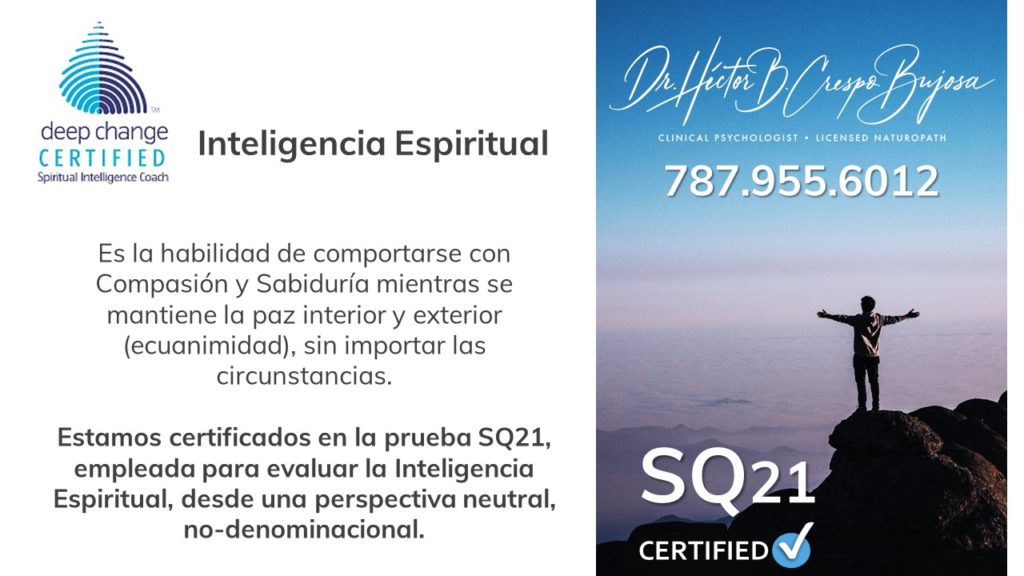 WEB IMAGE SQi