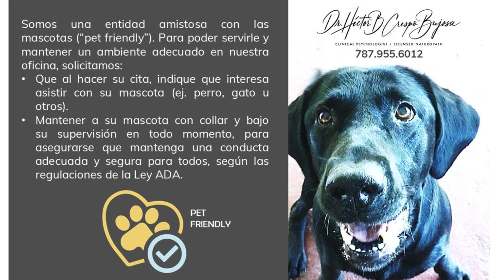 Pet Friendly